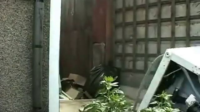 Miele Six hundred and Sixty Six смотреть онлайн