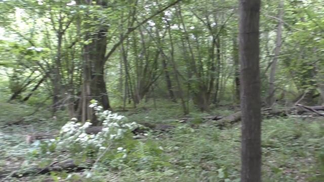 Выходные в лесу. Доделываю лесной стол