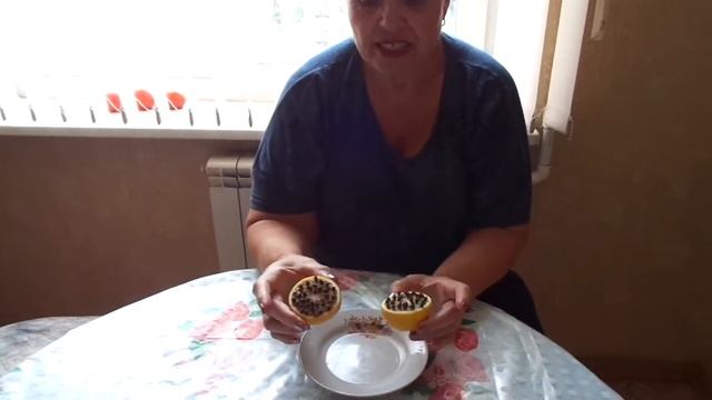 Что от нас скрывают? СУПЕР РЕЦЕПТ ИЗБАЛЕНИЯ ОТ КОМАРОВ В ДОМЕ И НА ДАЧЕ! смотреть онлайн