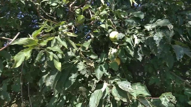 Строительные Отчеты