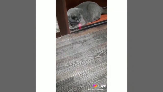 19.10.2019.г, Виталинка Витаминка. смотреть онлайн