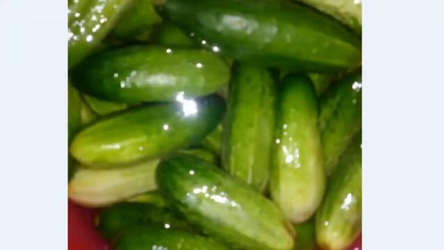 Анимационные Короткометражки