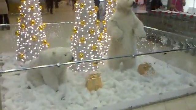 ТЦ Южный Казань. Медведи ! (12.2013 г.) смотреть онлайн