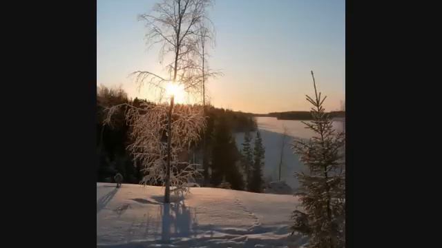 Varpunen jouluaamuna - Matti Taskinen смотреть онлайн