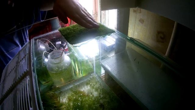 Акватеррариум для красноухих черепах своими руками, ч2 (Аква Хижина, выпуск 78) смотреть онлайн