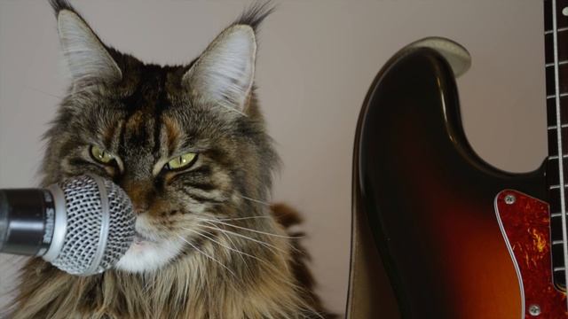 Руслан Техов Старый друг смотреть онлайн