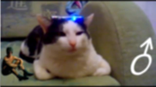 415 база, ответьте (Right Version; GachiBass) ♂ Gachi Remix