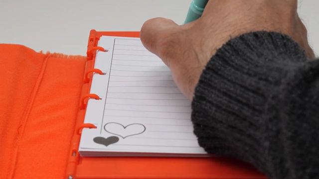 Express your DEEPEST SECRETS & FEELINGS Like Meilin with the Turning Red Secret Journal! смотреть онлайн