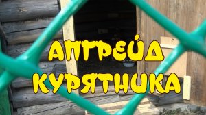 АПГРЕЙД КУРЯТНИКА  КУРЯТНИК СВОИМИ РУКАМИ