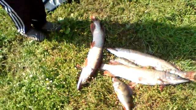 верх-сузун рыбалка смотреть онлайн