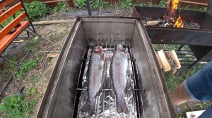 Радужная форель горячего копчения. Простой рецепт форели.