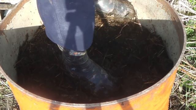 ВЫРАЩИВАНИЕ ОГУРЦОВ В БОЧКЕ - МЕТОД, ЭКОНОМЯЩИЙ ЗЕМЛЮ И ОБЛЕГЧАЮЩИЙ УХОД смотреть онлайн