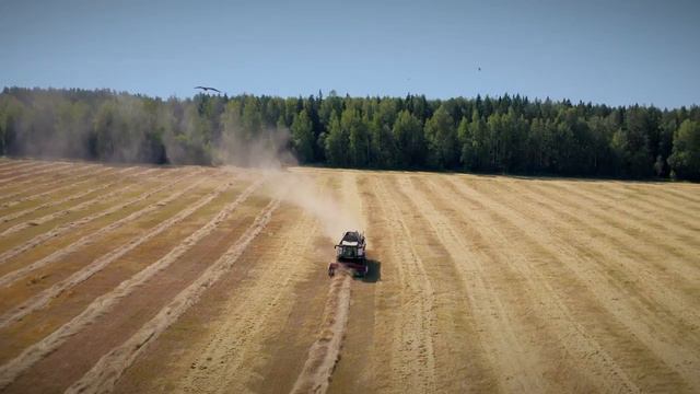 Как RSM 161 работает во влажном климате? смотреть онлайн