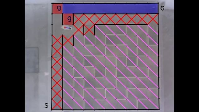 Cyborg rats navigate maze and complex terrain смотреть онлайн