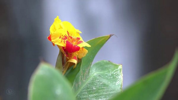 ♪ Bryulik - Love In Your Name