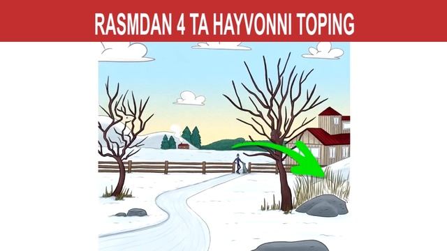 Ajoyib Boshqotirma | Ажойиб бошкотирма