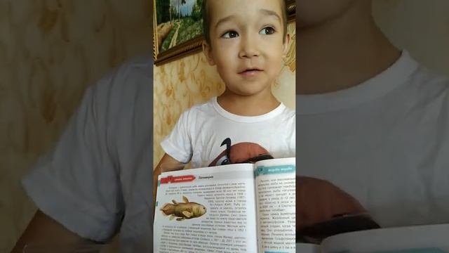 Начинаю знакомить какие животные занесены в красную книгу. смотреть онлайн
