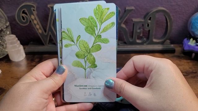 The Essential Oils Healing Deck | Flip Through and Review смотреть онлайн