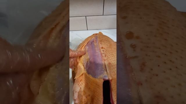 Мускус Французский.Вес тушки в 5мес.Качество мясо?. смотреть онлайн