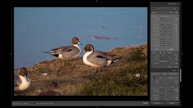 Greener Grass in Adobe Lightroom 5.7.1 - E0008 смотреть онлайн