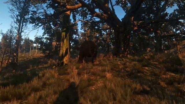The Witcher 3: Wild Hunt - First Person Combat Mod Trailer смотреть онлайн