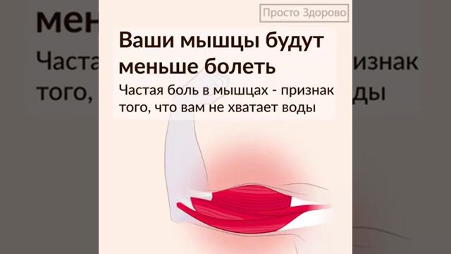 Для чего нужна вода человеку. На сколько полезна вода для человека смотреть онлайн
