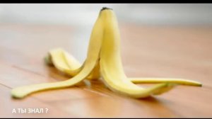 ШКУРКОЙ этого фрукта можно ЗАМЕНИТЬ КРЕМ для обуви