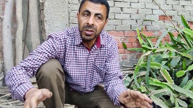 الكمبوست . Compost смотреть онлайн