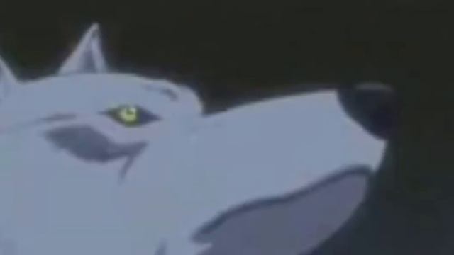 С ДНЁМ РОЖДЕНИЯ 🐺Волчёнок 🐾10 ФЕВРАЛЯ 16 ЛЕТ ❤🥰🥳🥳🥳🥳🥳🥳🥳🥳 смотреть онлайн