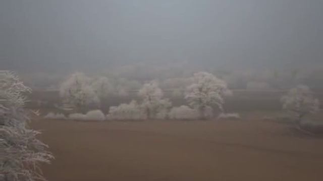 Farming in harmony with the microbial world смотреть онлайн