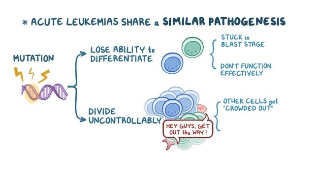 ОСТРЫЙ ЛЕЙКОЗ - Острый миелобластный и лимфобластый лейкоз