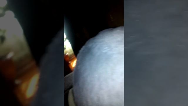 Дурак простофиля У Лукоморья дуб срубили кота на мясо порубили смотреть онлайн