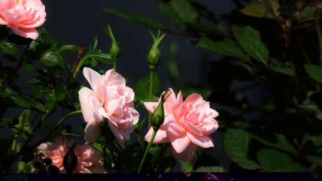 Супер лучшие русские песни про любовь онлайн смотреть онлайн