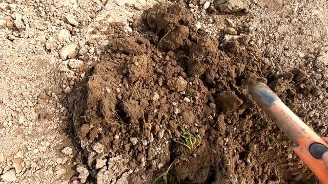 Metal Detecting in England for Lost Treasures смотреть онлайн