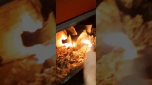 Обзор твердотопливного котла Wirbel