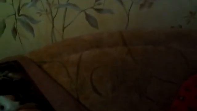 Странный хомяк!🐹🐹🐹 Петя смотреть онлайн