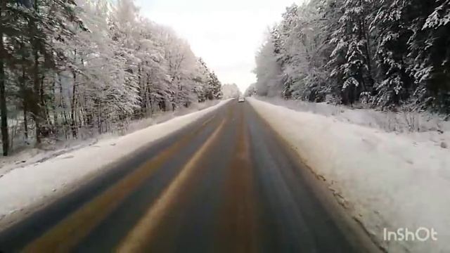 Таможня,Отяково.SCANIА Сонька и Дальнобой бегут на растаможку.