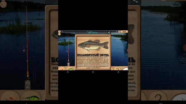 Больширотый окунь в игре реальная рыбалка