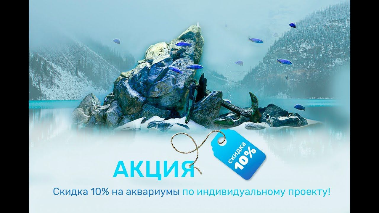 Скидки 10% на аквариумы по индивидуальному проекту! смотреть онлайн