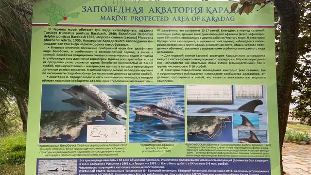 ￼ 22 мая 2023 г. Карадагский природный заповедник. Крым. смотреть онлайн