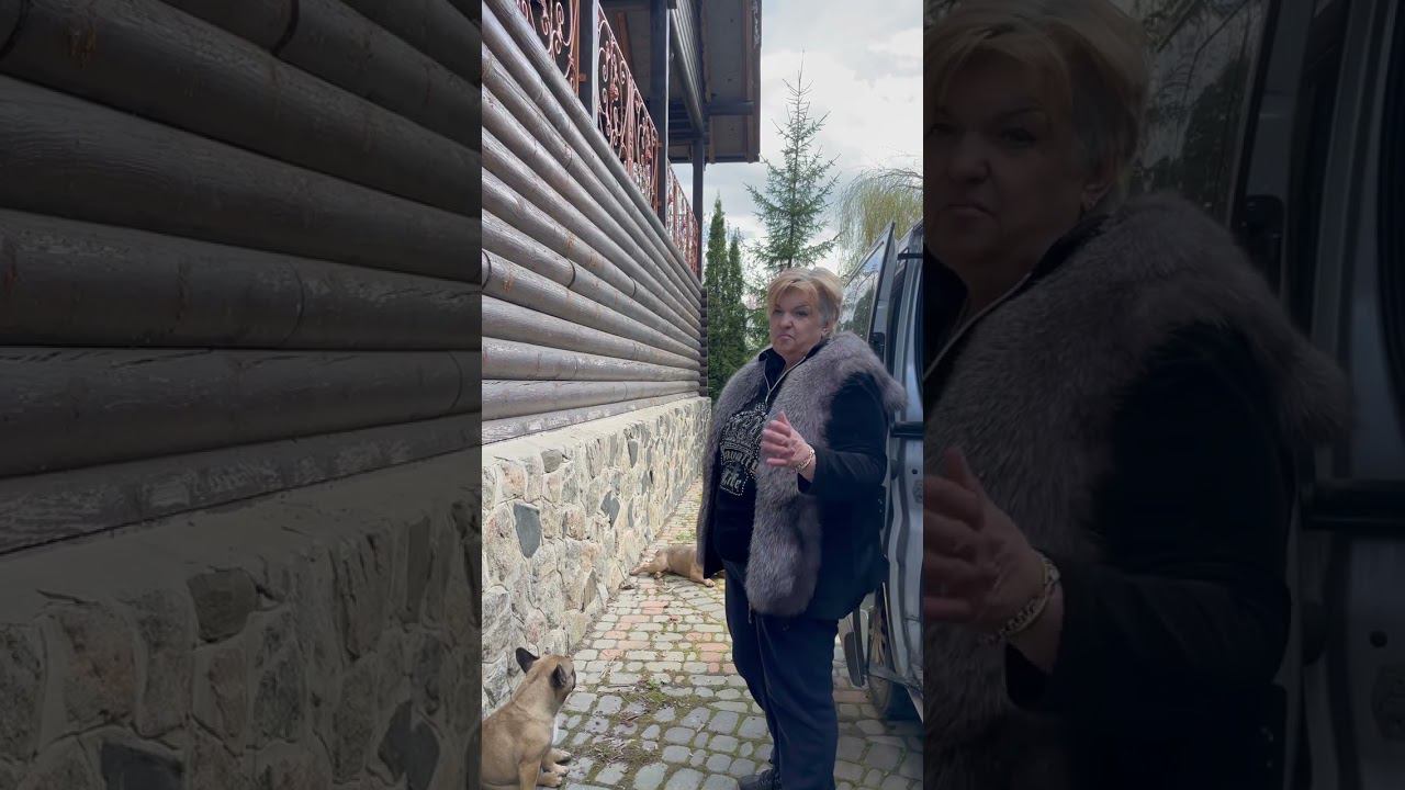 ПОРОДЫ СОБАК КОМПАНЬОНОВ КОМУ НУЖНА ГРЕЛКА ДЛЯ ДУШИ ФРАНЦУЗСКИЙ БУЛЬДОГ #shorts смотреть онлайн
