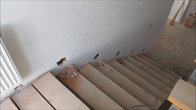 Подсветка лестницы, На что обратить внимание!!! Feron LN201A смотреть онлайн