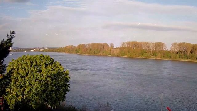 Никто не умеет читать мысли. О чувствах нужно спрашивать смотреть онлайн