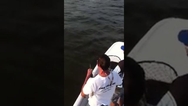Saltwater Assassin Fishing Charters смотреть онлайн