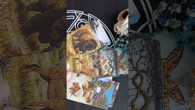 Почему не везёт с финансами Онлайн расклад 3 варианта смотреть онлайн