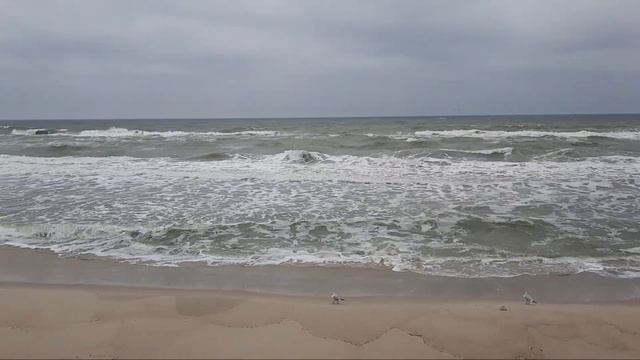 Одесса. ВЗОРВАЛАСЬ МИНА! ВАЛИТ ДЕРЕВЬЯ! ОЧЕНЬ ОПАСНО! ЧТО ПРОИСХОДИТ! смотреть онлайн