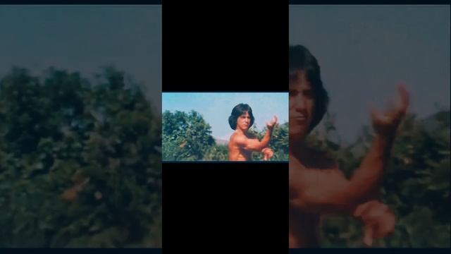 The Legendary Jackie Chan #status #kungfu #jackiechan #kungfu #yoga #kungfumovies