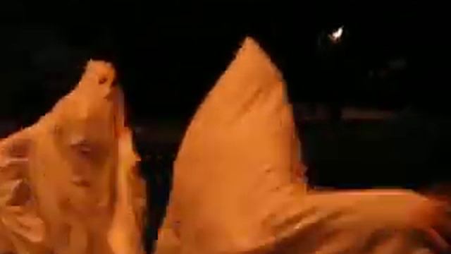 Halloween! смотреть онлайн