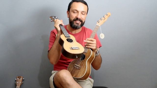 Ukulele Alırken Nelere Dikkat Etmeliyiz? (Ukulele Boyları) смотреть онлайн