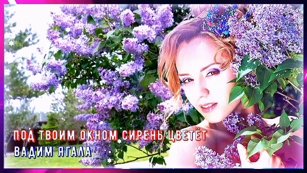 Вадим Ягала - Под твоим окном сирень цветёт